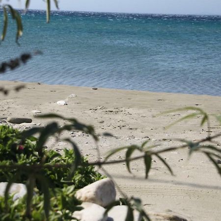 Kardhianí "Sea Front" Rose'S Houseヴィラ エクステリア 写真