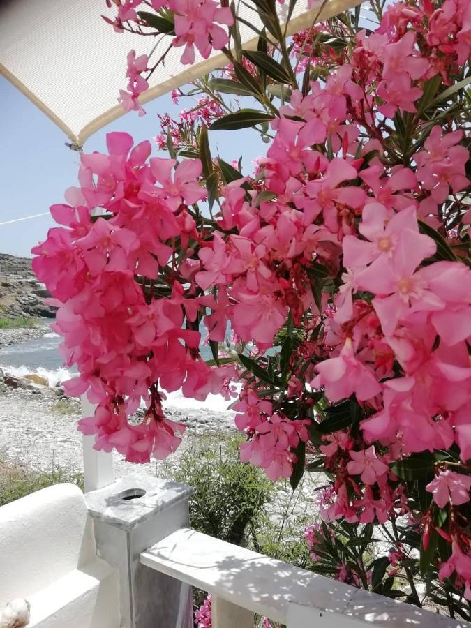 Kardhianí "Sea Front" Rose'S Houseヴィラ エクステリア 写真