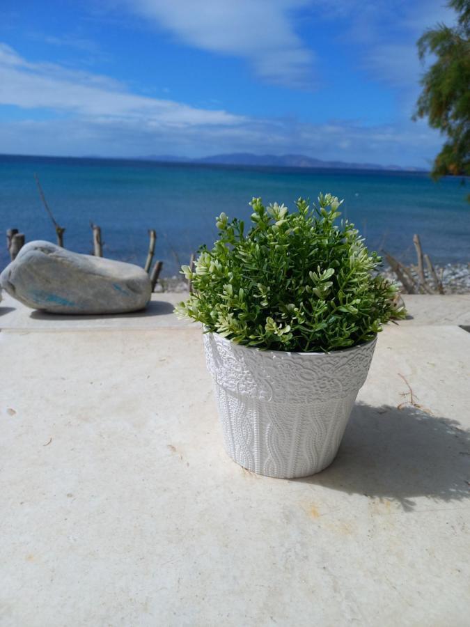 Kardhianí "Sea Front" Rose'S Houseヴィラ エクステリア 写真
