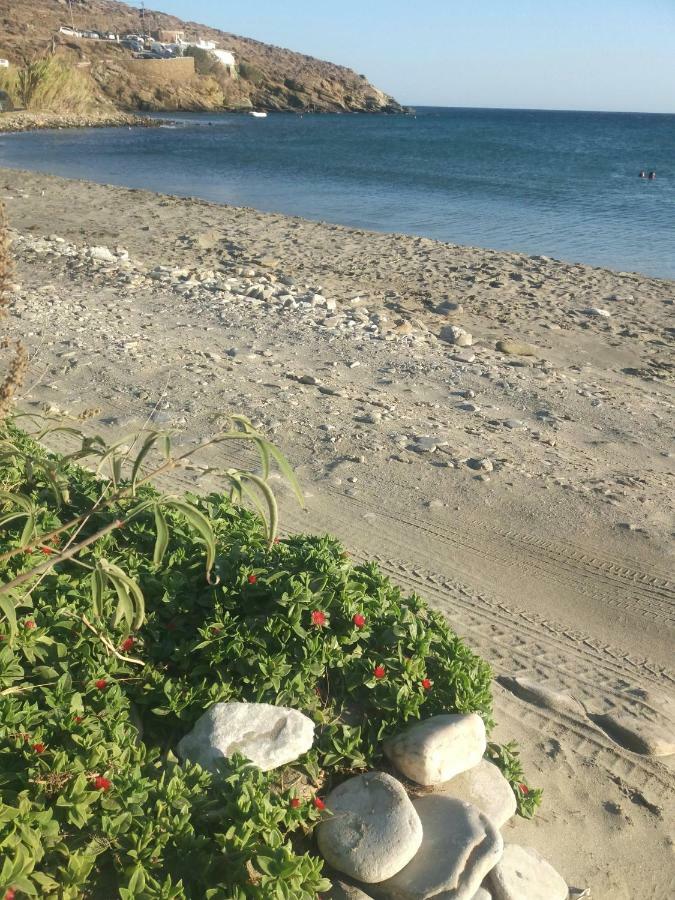 Kardhianí "Sea Front" Rose'S Houseヴィラ エクステリア 写真
